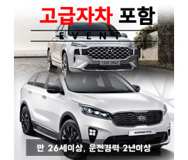 더뉴싼타페 / 신형 쏘렌토 5인승 + 고급자차