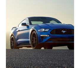 올뉴머스탱 컨버터블 4인승