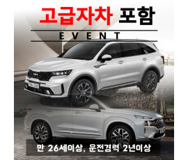 4세대 쏘렌토 / 더뉴싼타페 7인승 (랜덤) + 고급자차